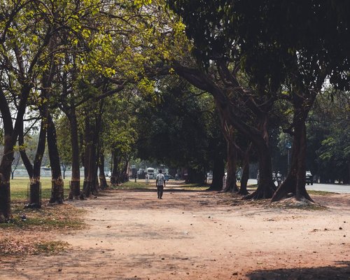 calm walk through an Indian city park